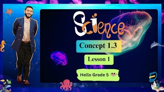 SCIENCE l Grade 5 l First Term  Concept 13  lesson 1 [upl. by Tram217]