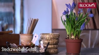 Deko mit Steckzwiebeln  DIY Frühlingsdeko  spring decoration  BLOOM’s Floristik [upl. by Mettah]