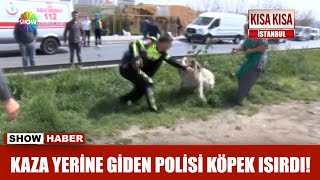 Kaza yerine giden Polisi köpek ısırdı [upl. by Honorine]