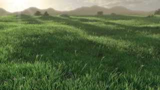 Grassy Field Animation [upl. by Ulphia]