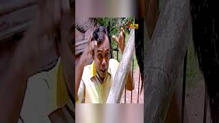 মেয়ের আবদার  Soya Pach Aray Lean newnatok funny [upl. by Esirahs906]