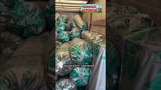 Польське агроволокно greentex агробізнес головнийагроном дімісад agriculture sale shop [upl. by Ainirtac]