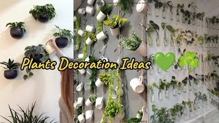 plant decor in living roomplants decoration ideasplants decoration ideas at homeplants decoration [upl. by Keppel]