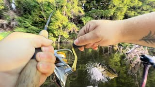 How To Catch More Bass [upl. by Fairfield]