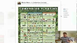 Companion Planting List Guide [upl. by Andriana]