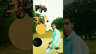 Terectar jcb rolr rnig video parrot birds animals shortsvideo parrotmagic blackcondor [upl. by Ahsita]