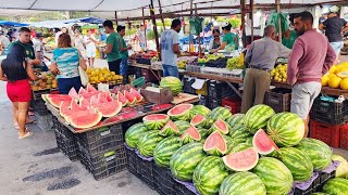 VERDURAS DE R 100 NA FEIRA EM PANELASPE OLHA ISTO BRASIL [upl. by Arihat]