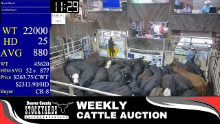 7232024  Beaver County Stockyards Weekly Cattle Auction [upl. by Vorster]