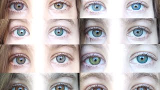 Color Contacts All 12 Freshlooks Color Contact Lenses [upl. by Lorsung]