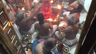 Kashi Vishwanath Darshan and Saptarishi Aarti [upl. by Upshaw]