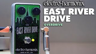 ElectroHarmonix East River Drive Overdrive Pedal Demo by JJ Tanis [upl. by Buford]