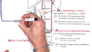 Pharmacology  Antihypertensives [upl. by Ytitsahc]