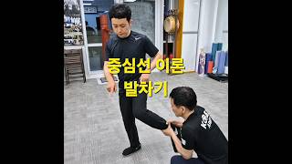 중심선 이론 발차기The Kick Based on Centerline Theory 서상전영춘권 영춘권 selfdefense [upl. by Ttenyl]