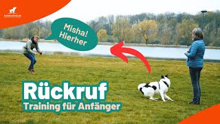 Rückruftraining für Anfänger  So trainierst du den Rückruf mit deinem Hund [upl. by Enelrats]