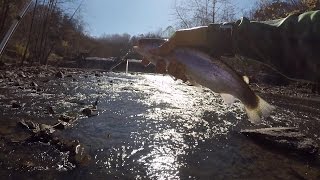 How to Fish for Trout in a RiverCreek by 1Rod1ReelFishing [upl. by Lamson]