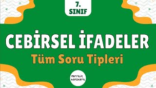 Cebirsel İfadeler TÜM SORU TİPLERİ  7Sınıf Matematik [upl. by Erv118]