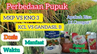 Perbedaan Dan Keunggulan Pupuk MKPKNO3KCL Dan Gandasil BuahDosisWaktu Dan Manfaat Buat Tanaman [upl. by Rhett449]