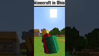 Minecraft sawg ohio minecraft shorts swag ohio [upl. by Trent988]