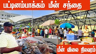 Pattinapakkam New Fish Market  புது பொலிவுடன் பட்டினம்பாக்கம் மீன் சந்தைPattinapakkam Fish Market [upl. by Walker428]