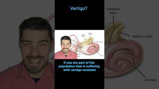 Vertigo brought on by neck movement  Cervicogenic Vertigo  upper cervical chiropractor  SLC [upl. by Plantagenet]