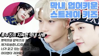 막내 업어키운 스트레이 키즈 필릭스 방찬 편 [upl. by Sam]