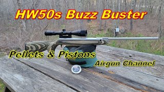 Simple Spring Buzz Fix featuring The Custom HW50S Air Rifle [upl. by Keyes]