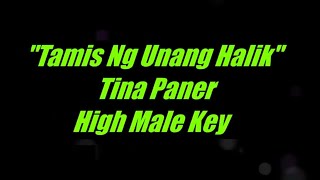 Tamis Ng Unang Halik by Tina Paner High Male Key Karaoke [upl. by Adan]