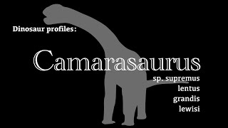 Dinosaur Profile Camarasaurus [upl. by Jemina134]