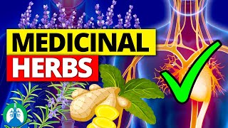 🌱Top 10 Most POWERFUL Medicinal Herbs Backed by Science [upl. by Aehsrop5]