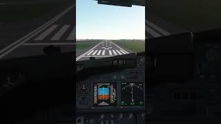 PMDG 737 landing [upl. by Eerdna]