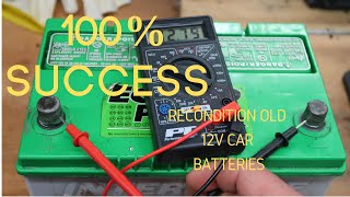 Reconditioning a 12 Volt Car Battery 100 Success [upl. by Lambart]