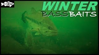 6 Proven Winter Bass Baits for Most Situations [upl. by Adleme]