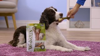 Whimzees Dental Dog Treats  Chewy [upl. by Alyar]