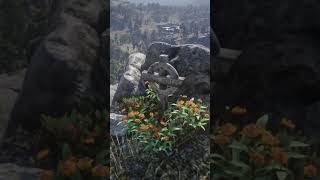 Arthurs Grave in rdr2 [upl. by Jarvis]