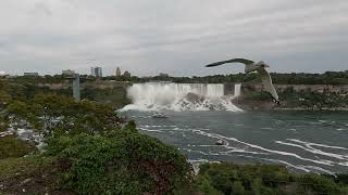 Walking along Niagara Falls  Canadian side [upl. by Allisirp644]