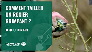 TUTO Comment tailler un rosier grimpant   Jardinerie Gamm vert [upl. by Slyke]