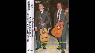 CARLOS PERALTA Y ERNESTO VILLAVICENCIO LA GUITARRITA [upl. by Lleznov]