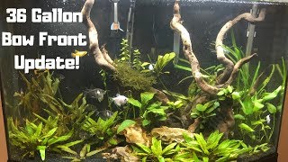 36 Gallon Tank Update Video [upl. by Llerrehc]