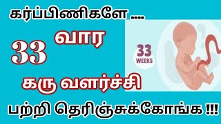 pregnancy symptoms in tamil  33 weeks pregnancy symptoms in tamil  33 weeks baby development tamil [upl. by Dnalrah]