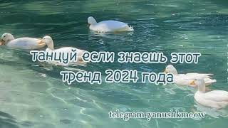 🦢🩵 Танцуй если знаешь этот тренд 2024 года 🦢🩵 Лучшее тренды Тик Ток 2024 🦢🩵 [upl. by Gilberta]