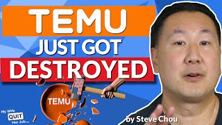 Temu Just Got Destroyed By The US Government  Heres The Full Story [upl. by Burack]