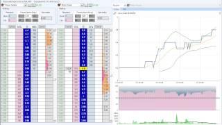 Bet Angel  Betfair trading Using net stake [upl. by Dunham]