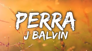 J Balvin – Perra LetraLyrics [upl. by Currie995]