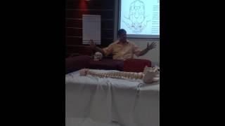 CV4 Explanation  Osteopathy cranial course [upl. by Seabrooke]