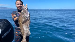 Wettie TV  SPEARFISHING Great Barrier ISLAND  SHARKS Snapper and Boarfish [upl. by Mireielle]