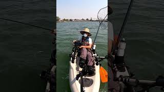 Catching my first striper in the Sacramento River [upl. by Niawat]