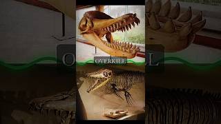 Mosasaurus hoffmanni VS Livyatan melvillei edit 1v1 prehistoricanimals [upl. by Dania387]