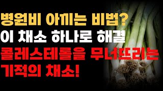 대파의 놀라운 효능과 활용법 콜레스테롤 관리의 비밀 공개 [upl. by Ranjiv]