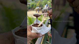 MustTry Melted Chocolate in Thekkady A Sweet Adventure [upl. by Acnalb770]