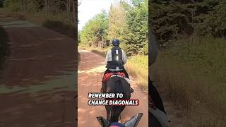 🐎What Do You Do❓ horse trailriding horseriding equestrian endurancehorse horsevlog gopro [upl. by Klug496]